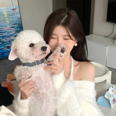 红色天网